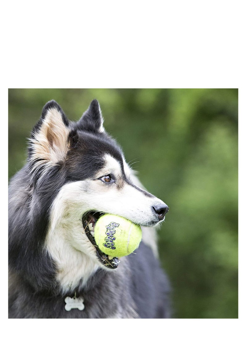 كونج كرات تنس بصفّارةالاحتفالية – مقاس متوسط، لعبة تنس مع صفّارة مدمجة لكلاب تحب الجلب والمرح بتصميم متين وآمن ولعب تفاعلي ممتع - Image 3