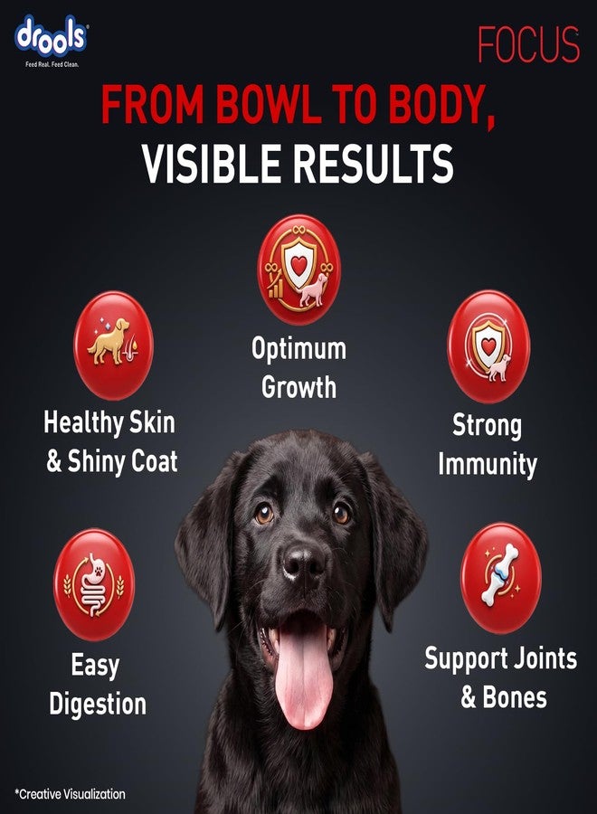 Drools Focus Puppy Super Premium Dog Food, 3kg - Image 5