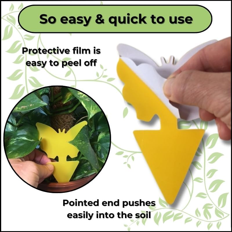 Evanmore Fruit Fly Traps Trap Indoor Sticky Yellow For Home Use Protect Plants Plant Houseplant Fungus Gnat Killer Insect Catcher Bug Catchers Control Pests Whitefly Non Toxic Odourless Safe Waterproof (60) - Image 3