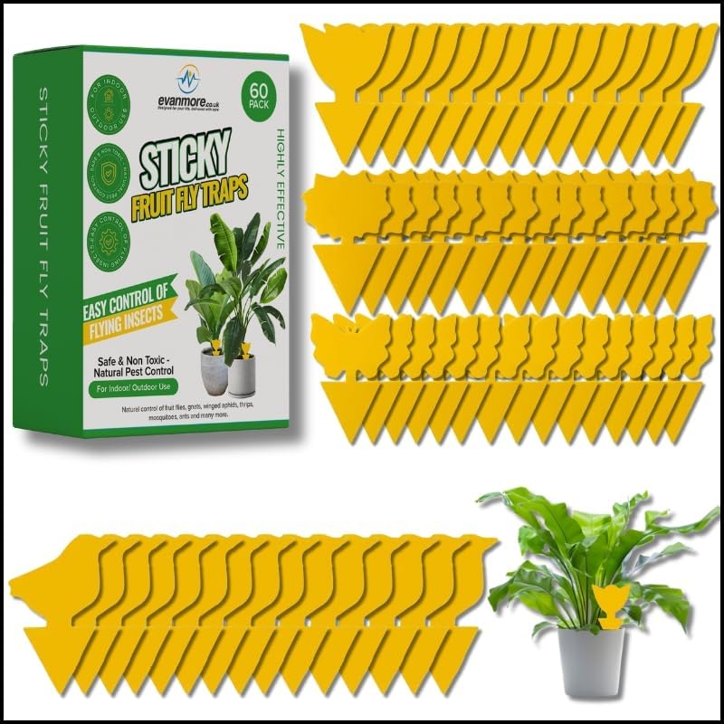 Evanmore Fruit Fly Traps Trap Indoor Sticky Yellow For Home Use Protect Plants Plant Houseplant Fungus Gnat Killer Insect Catcher Bug Catchers Control Pests Whitefly Non Toxic Odourless Safe Waterproof (60) - Image 1