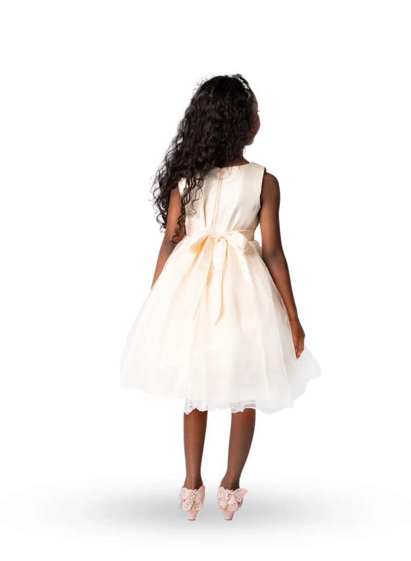D'Daniela Sparkly Sequins and Flower Dress Champagne