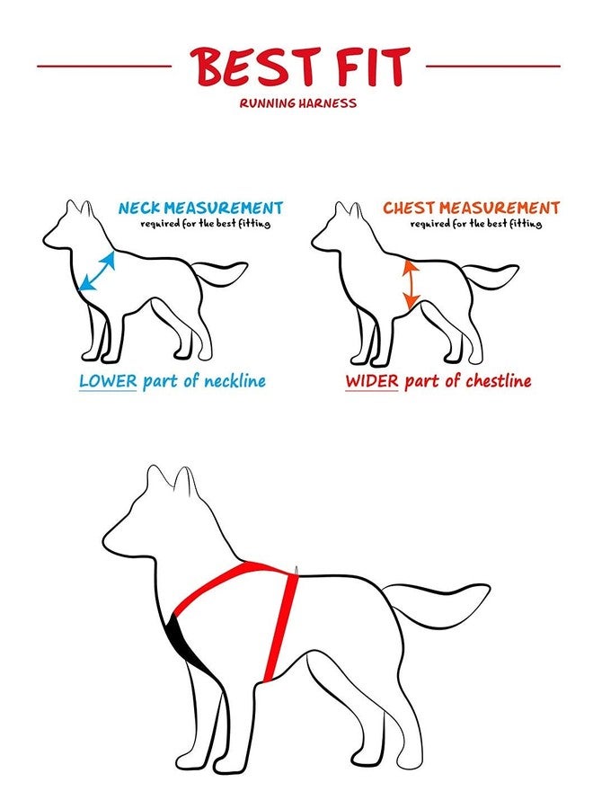 Hachiko:-Imported Best Dog Body Belt Harness+Collar+Choke Collar+Leash(Combo of 4) (Large, Army) - Image 3