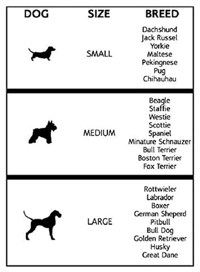 Hachiko:-Imported Best Dog Body Belt Harness+Collar+Choke Collar+Leash(Combo of 4) (Large, Army) - Image 4