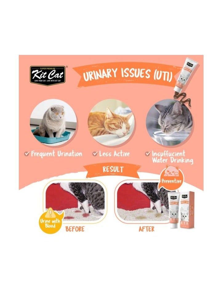 كيت كات مكمل غذائي يومي للقطط والقطط الصغيرة – العناية بالبول (120 جرام) - Image 3