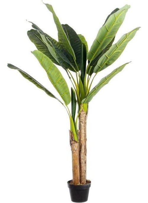 Nettenevime Artificial Tree Banana Tree Artificial Starliçe 220CM - pzsku/Z44895870B859E0BABE60Z/45/_/1730722890/da582fdd-27fa-4dd8-99ce-ac6d7dd27884