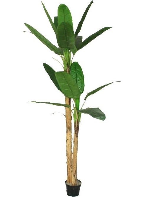 Nettenevime Artificial Tree Banana Tree Artificial Starliçe 220CM - pzsku/Z44895870B859E0BABE60Z/45/_/1730722892/e1a02cbd-814e-4e88-a171-773179d2914a