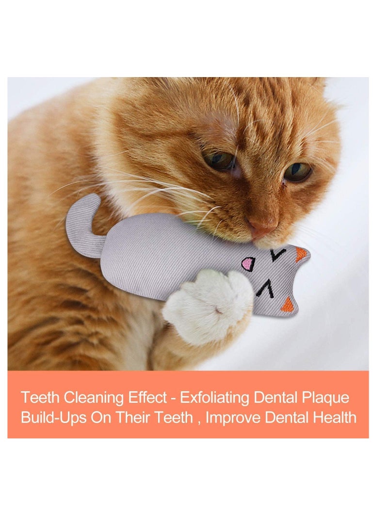 XiuWoo Cat Plush Catnip Toy Scratch Playing Chewing Teeth Cleaning Creative Pillow Pet Grinding Chew Toys Entertaining Set for Indoor Cats 5 Pack - Image 4