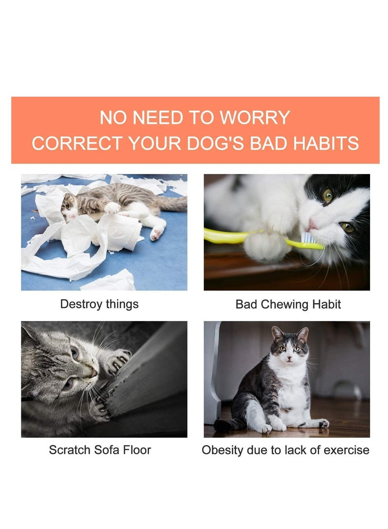 XiuWoo Cat Plush Catnip Toy Scratch Playing Chewing Teeth Cleaning Creative Pillow Pet Grinding Chew Toys Entertaining Set for Indoor Cats 5 Pack - Image 3