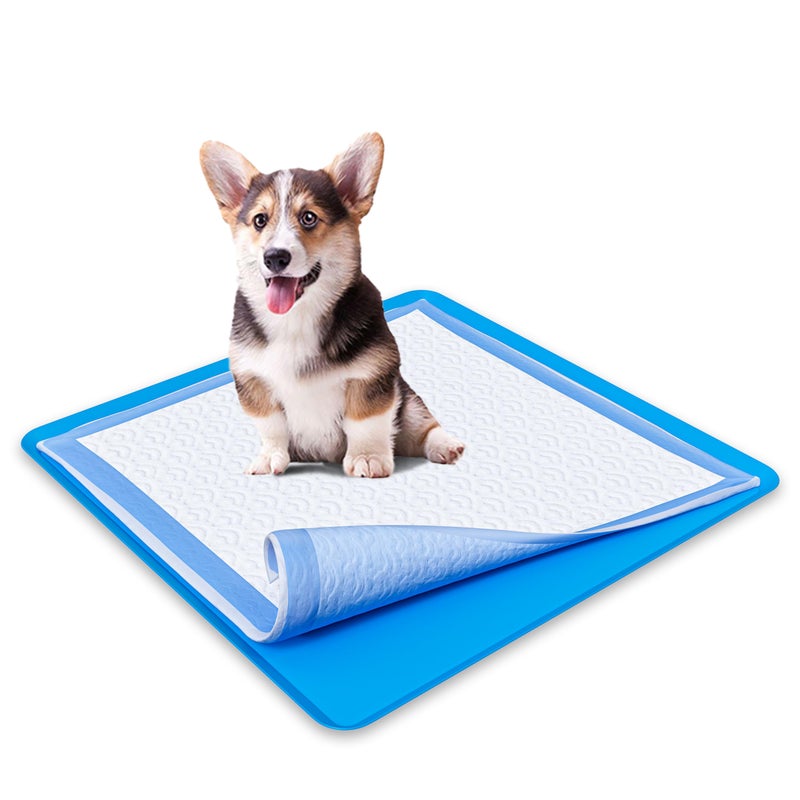 Skywin TidyFriend Dog Pee Pad Holder Tray - Fits Up to 24â€ x 24â€ Pee Pad Holder for Dogs - Stable Grip, Raised Edges, Quick-Wipe Silicone Surface Dog Pad Holder for Indoor Flooring Protection (Dark Blue) - Image 1