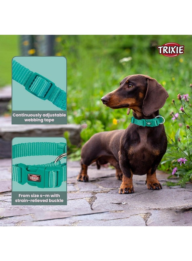 تريكسي حزام طوق للكلاب عالي الجودة، تصميم أنيق، شريط شبكي قابل للتعديل، تخفيف الضغط، مع موصل مقود، طوق رقبة للكلاب، 30-45 سم (صغير، محيطي) - عبوة من 3 قطع - Image 2