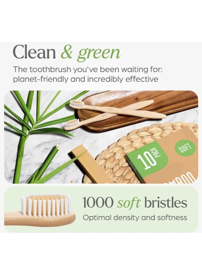 Generic Zimtal Bamboo Toothbrushes, Eco-Friendly oral care tools, sustainable bamboo materials, Biodegradable bamboo brush pack of 10.  - Image 2