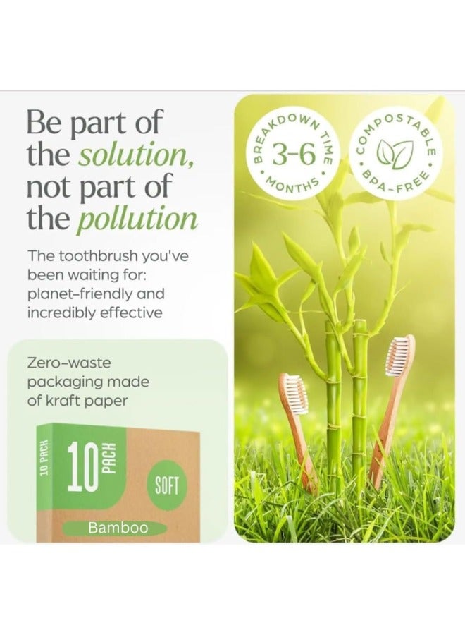 Generic Zimtal Bamboo Toothbrushes, Eco-Friendly oral care tools, sustainable bamboo materials, Biodegradable bamboo brush pack of 10.  - Image 5