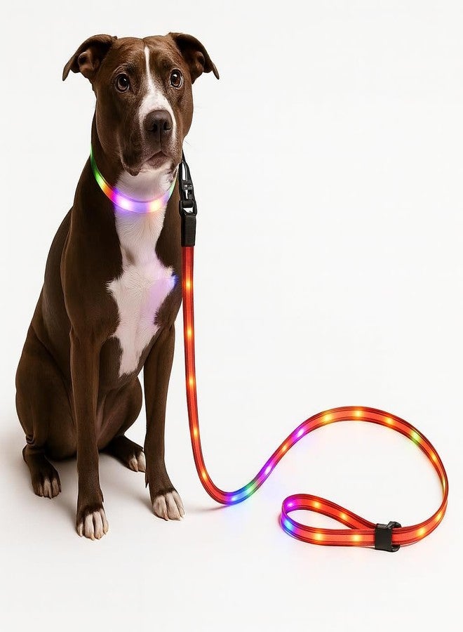 LIGHTACCENTS LED Dog Leash - 6ft Light-Up for Evening Walks - High-Visibility LED Lighted Dog Lead for Safety & Peace of Mind - New Version! - Image 1