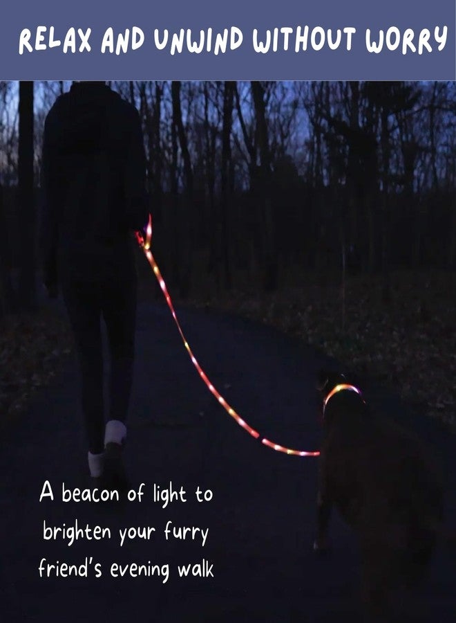 LIGHTACCENTS LED Dog Leash - 6ft Light-Up for Evening Walks - High-Visibility LED Lighted Dog Lead for Safety & Peace of Mind - New Version! - Image 2