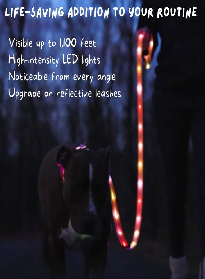 LIGHTACCENTS LED Dog Leash - 6ft Light-Up for Evening Walks - High-Visibility LED Lighted Dog Lead for Safety & Peace of Mind - New Version! - Image 3