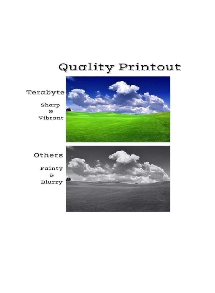 Terabyte CF210A BLACK 4-Pack Compatible 131A / 731 Toner Cartridge CF211A CF212A CF213A for LaserJet Pro 200 color M251nw M251n M276n M276nw Printers - Image 3