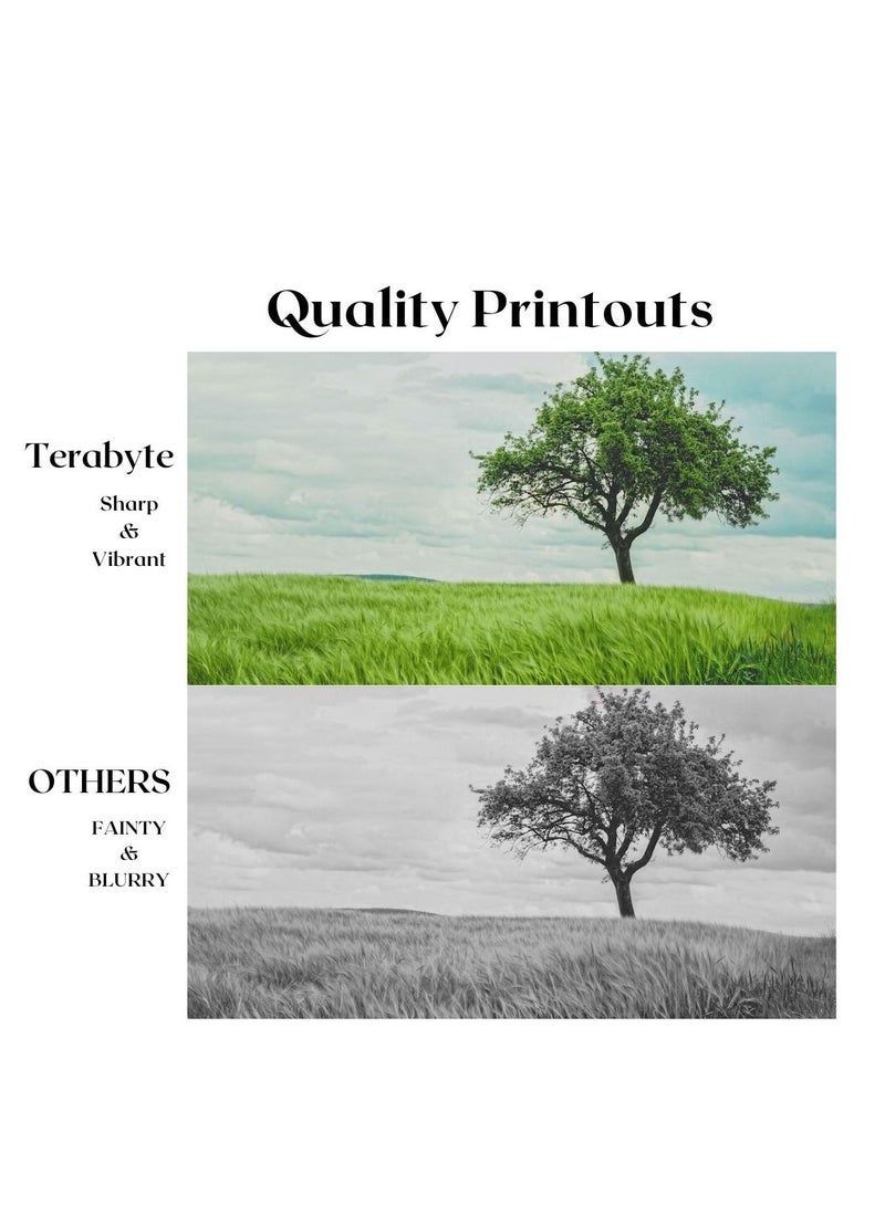 Terabyte CLT808S BLACK COMPATIBLE TONER TERABYTE - Image 2