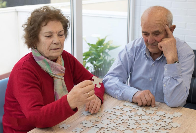 Mulic 300 Pieces Jigsaw Puzzles for Adults - Puzzles for Kids Ages 6-8 8-10 10-12 - Large Piece Puzzles for Seniors - Forest Bear Adventure - Image 5