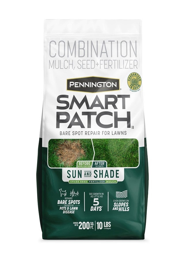 Pennington Smart Patch Sun and Shade Mix 10 lb - Image 1