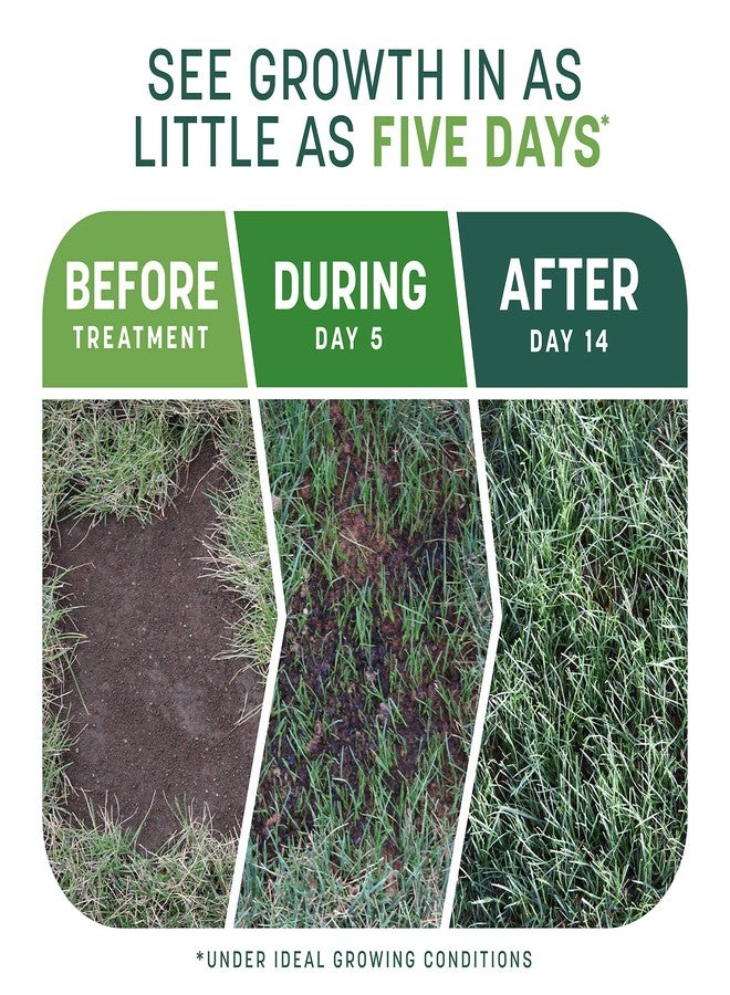 Pennington Smart Patch Sun and Shade Mix 10 lb - Image 3