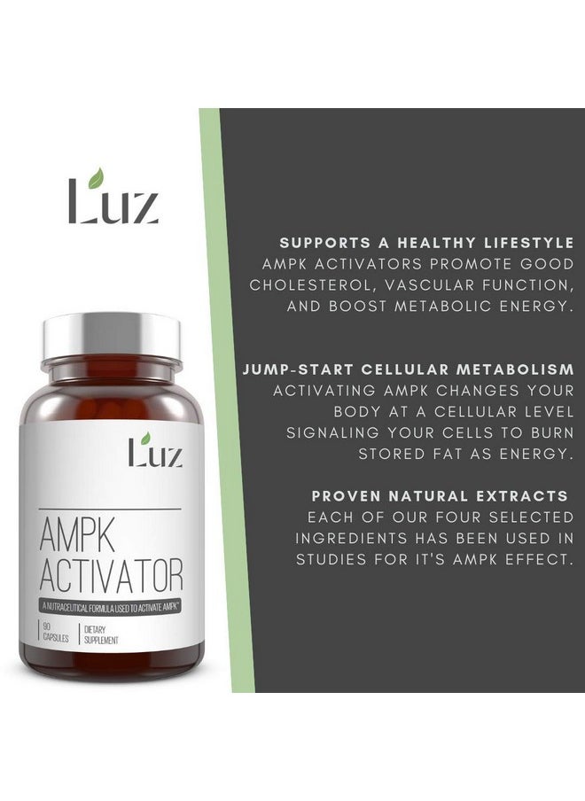 Luz AMPK Activator - Research Based - 90 Capsules - pzsku/Z4491D0E027035553069BZ/45/_/1739882502/f2b07df7-a25d-49c6-af73-ee2085f66b9b