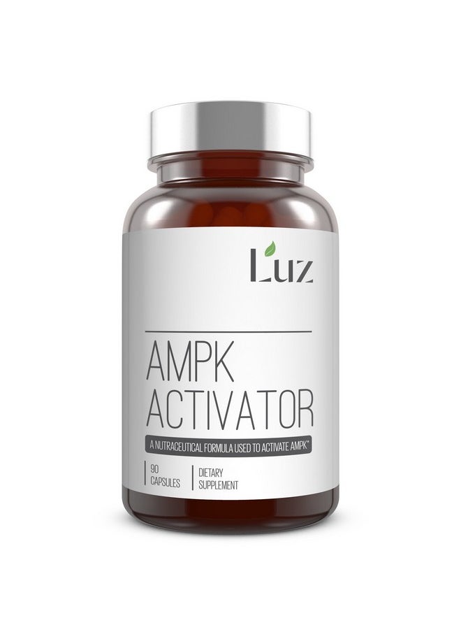 Luz AMPK Activator - Research Based - 90 Capsules - pzsku/Z4491D0E027035553069BZ/45/_/1739882859/f236cb1b-476b-4b7c-841d-165f00de062b