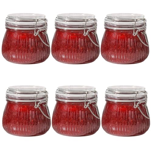 Ash  Roh Ash & Roh Airtight Transparent storage jar with Rubber Seal lid and Clip Lock - Perfect for Kitchen Canning, Fermenting, and Storing Dry Food, Spices, Tea, Snacks, Sugar, and More (pack of 6, 750 ml) - Image 1