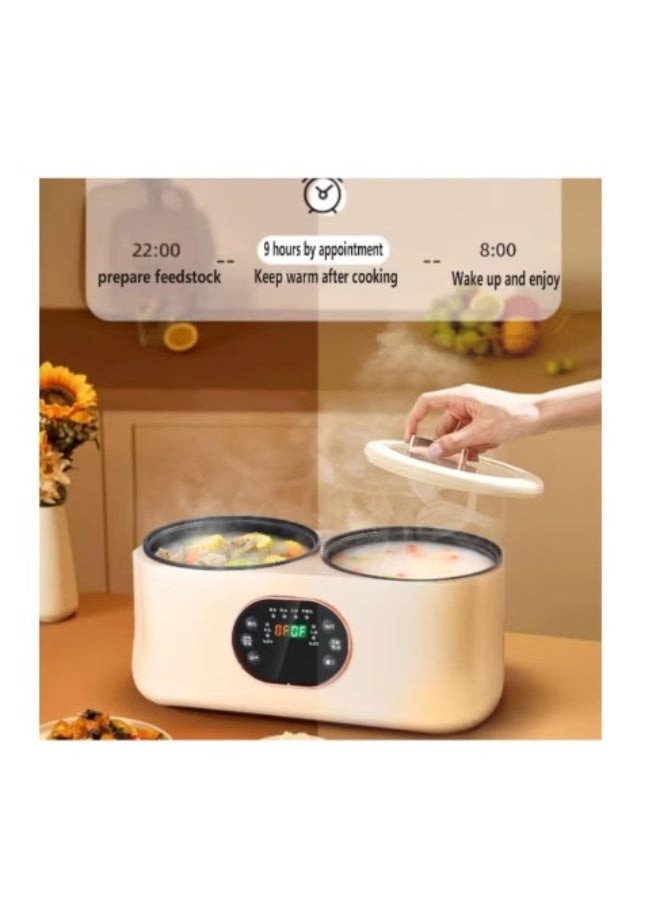 دينكس وعاء طهي مزدوج 2 في 1، وعاء كهربائي ساخن متعدد الوظائف مع بطانة مزدوجة وشاشة رقمية - Image 1