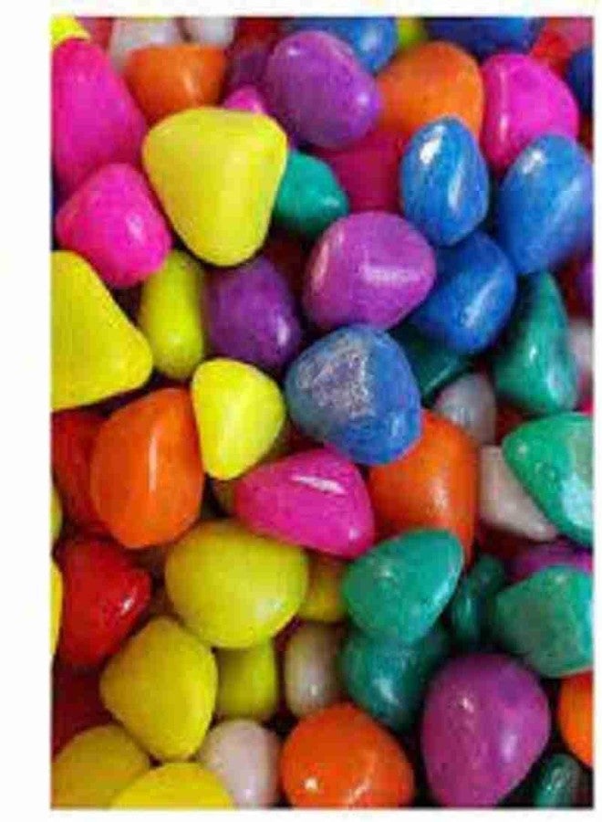 أحجار زينة متعددة الألوان من ذا جرين فيو جاردنز للحدائق/المروج/ديكور المنزل/ديكور أحواض السمك/أحواض أسماك الزينة (ألوان مختلطة) 1 كجم. - Image 2