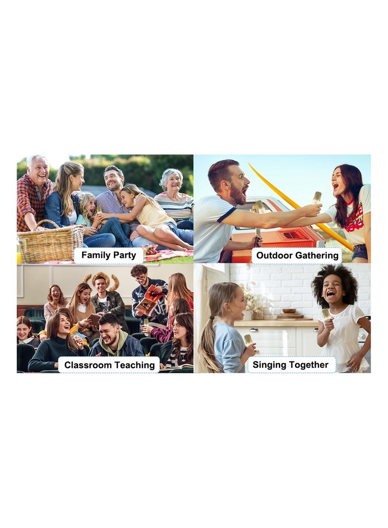 Portable Bluetooth Speaker with 2 Wireless Microphones PA Speaker System with Carrying Handle Echo Vocal Cut for Meetings Parties - Image 4