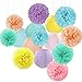 Hugfond Pastel Rainbow Colorful PartyDecorations Paper Flowers Lanterns 15PCS Birthday Classroom Baby Shower Tissue Pom Poms Streamers Macaron Carnival Theme Hanging Supplies Decor Hugfond - Image 3