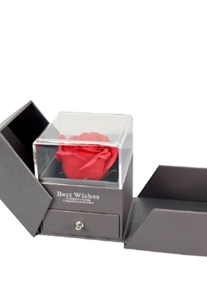 wardi Grey Surprise Box