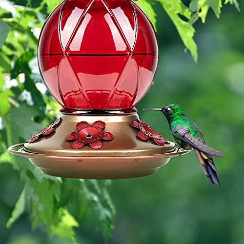 BOLITE Hummingbird Feeder, Glass Hummingbird Feeder for Outdoors, Meshy Texture Ball Shape Bottle, 20 Ounces, Red, Birthday Gifts for Women Men, Gifts for Mom Dad - Image 4