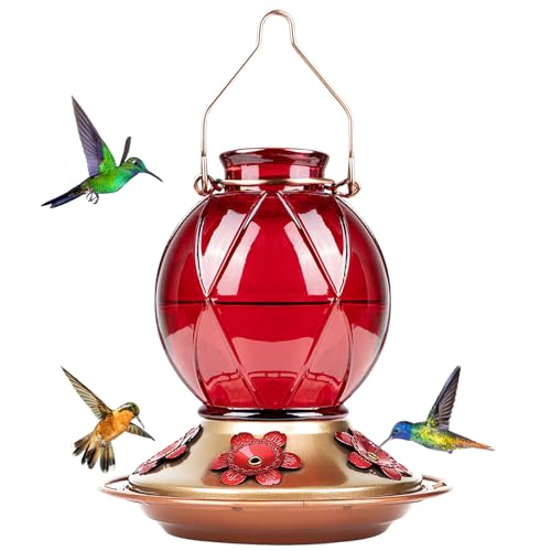 BOLITE Hummingbird Feeder, Glass Hummingbird Feeder for Outdoors, Meshy Texture Ball Shape Bottle, 20 Ounces, Red, Birthday Gifts for Women Men, Gifts for Mom Dad - Image 1