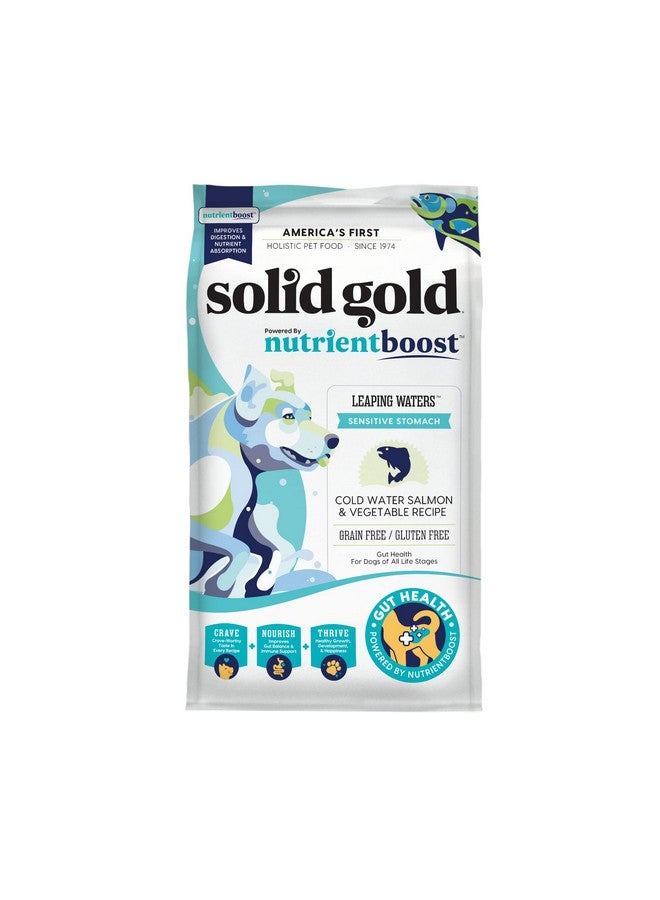 solid gold Nutrientboost Leaping Waters  Dry Dog Food For Sensitive Stomach  W/Salmon & Vegetables  Digestive Probiotics For Gut Health  Superfood & Antioxidant Support For Dogs  3.75 Lb Bag - Image 1