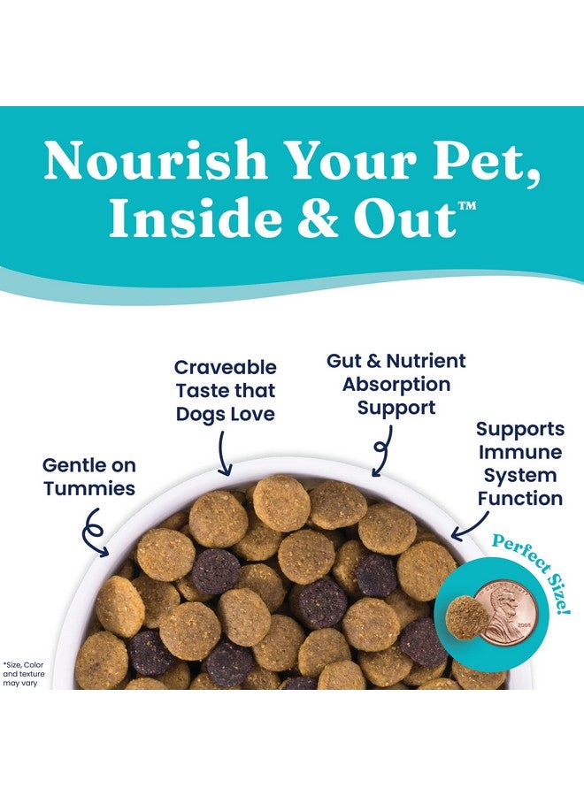 solid gold Nutrientboost Leaping Waters  Dry Dog Food For Sensitive Stomach  W/Salmon & Vegetables  Digestive Probiotics For Gut Health  Superfood & Antioxidant Support For Dogs  3.75 Lb Bag - Image 4