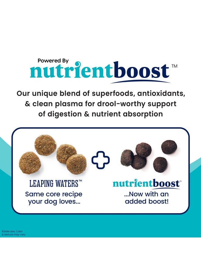 solid gold Nutrientboost Leaping Waters  Dry Dog Food For Sensitive Stomach  W/Salmon & Vegetables  Digestive Probiotics For Gut Health  Superfood & Antioxidant Support For Dogs  3.75 Lb Bag - Image 3