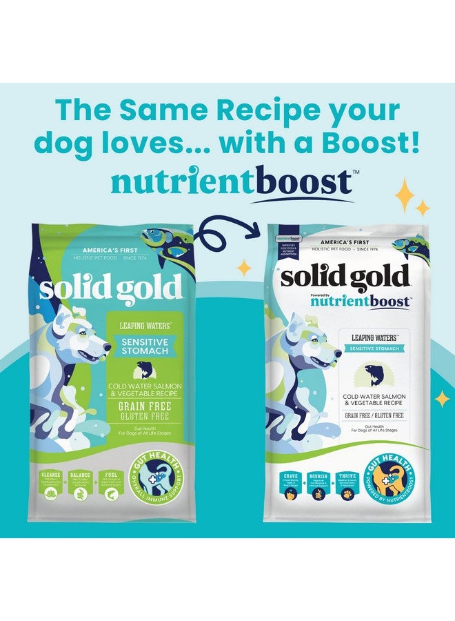 solid gold Nutrientboost Leaping Waters  Dry Dog Food For Sensitive Stomach  W/Salmon & Vegetables  Digestive Probiotics For Gut Health  Superfood & Antioxidant Support For Dogs  3.75 Lb Bag - Image 2