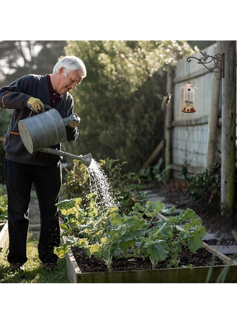 كابتن تيك 2pcs Plant Hangers Outdoor Plant Hooks for Wall/Fence 10 Inch, Decorative Plant Bracket Lantern Hooks Rustic Iron Wall Hooks Hummingbird Hooks - Image 5