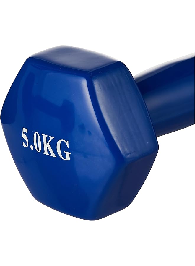 Liveup Vinyl Dumbbell Classical Head 5Kg*2 Blue Ls2001 @Fs - Image 3