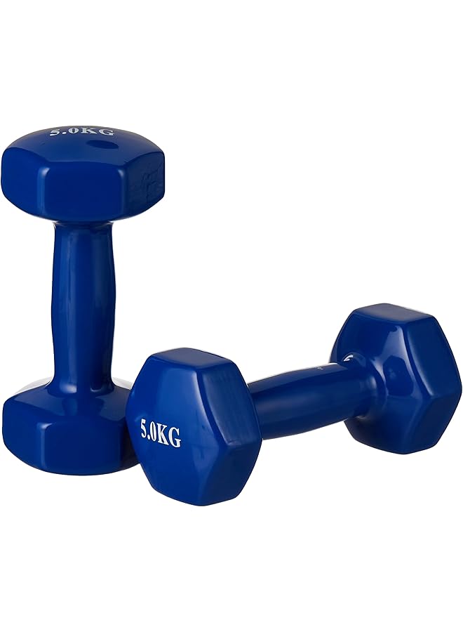 Liveup Vinyl Dumbbell Classical Head 5Kg*2 Blue Ls2001 @Fs - Image 1