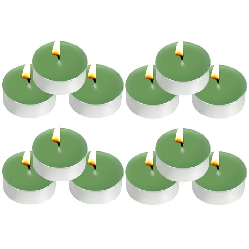 Tea Lights Candles 12 Pack Green Tealights Candle Scented Green Tea Small Candle for Home Holiday Wedding PartyDinner Table Halloween Christmas and Holiday Green Tea