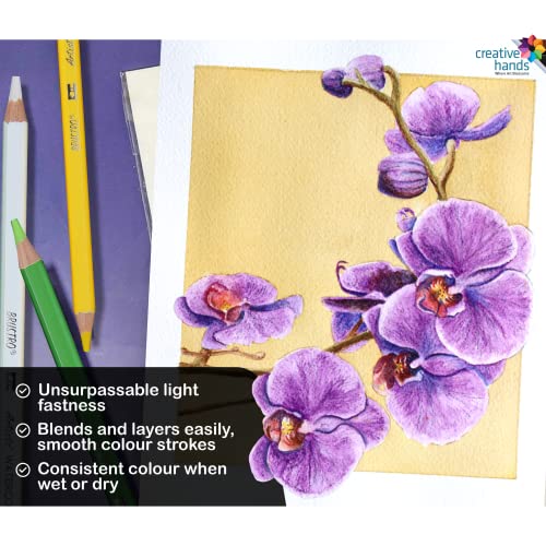 BRUSTRO Artists Watercolour Pencils | Set of 72 Colors in Elegant tin Box |4mm Leads, Non-toxic, Break-resistant, Bold Strokes, Suitable for Blending, Layering - Image 3