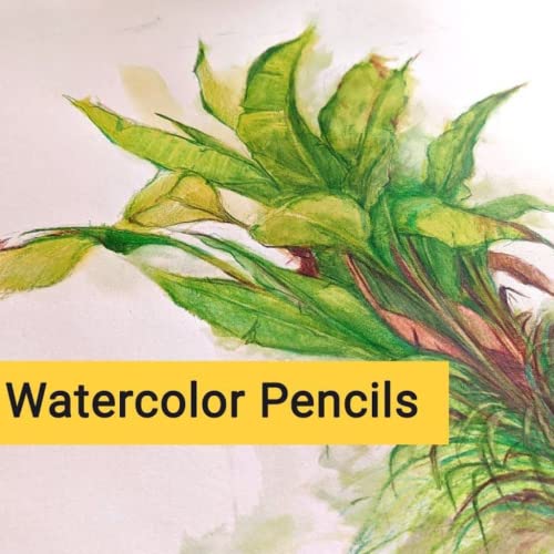 BRUSTRO Artists Watercolour Pencils | Set of 72 Colors in Elegant tin Box |4mm Leads, Non-toxic, Break-resistant, Bold Strokes, Suitable for Blending, Layering - Image 5