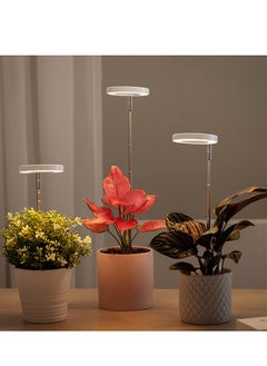 DUNISO USB Angel Ring Plant Growth Light, timed dimming, telescopic pole, full spectrum succulent fill light for flowers and plants, used indoors to promote plant growth  - Image 4