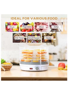 Generic Electric Food Dehydrator Machine 5 Tray Tier Fruit Dryer Beef Jerky Herbs Dryer with Adjustable Thermostat  - Image 2