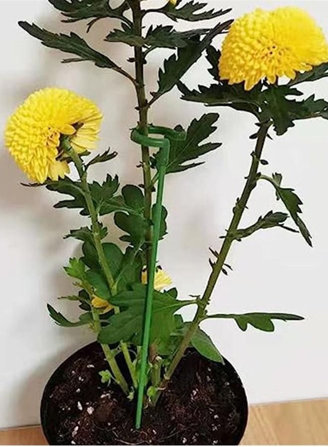 Generic Plant Supports, Pack of 15 Plant Support Sticks, 27 cm Solid Fibreglass Plant Holder for Plant Support, Plant Growth Fixation, Protect Plants from Tilt  - Image 4