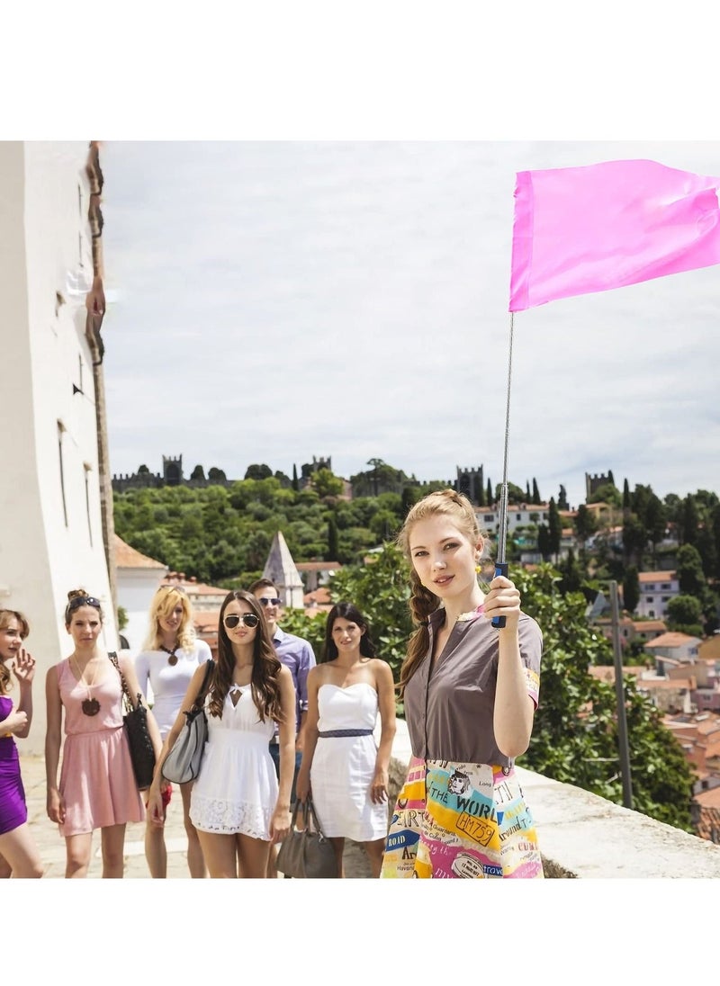 Telescopic Flag Pole, Portable Pole for Camping with Lanyard, 2m Poles Stick Tourist Guide Travelling Presentation Pointer 2pcs, Random Color - Image 5