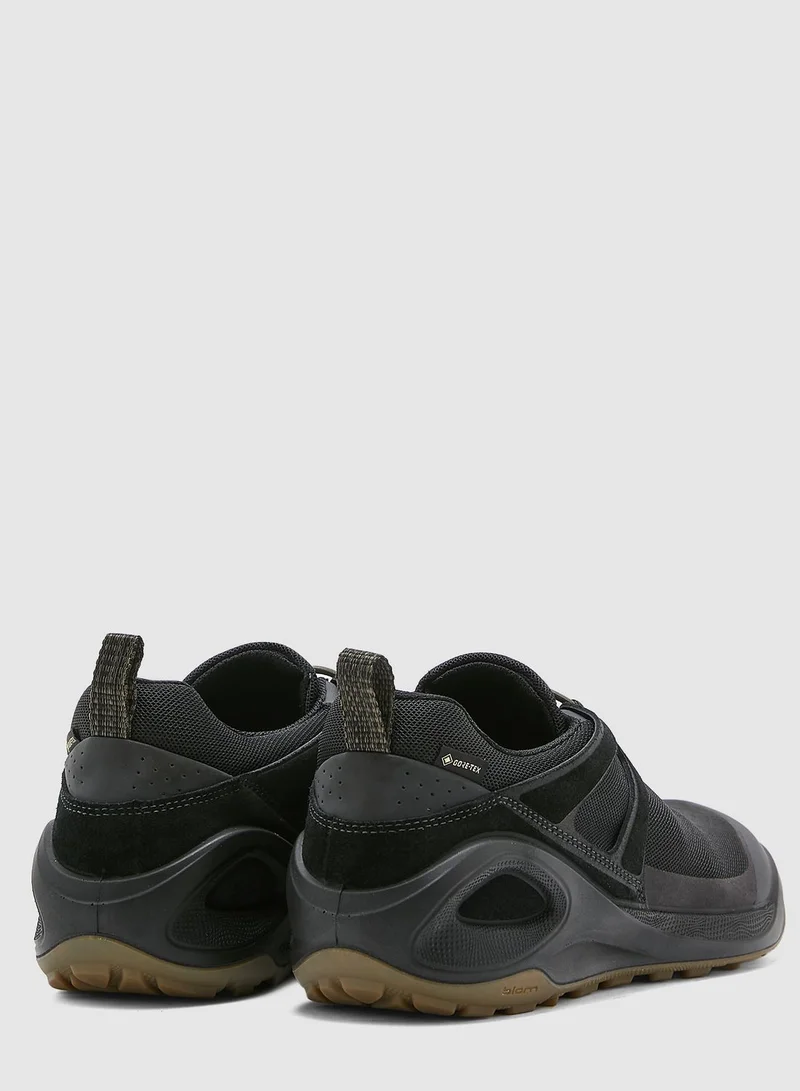 ECCO Biom 2Go Gore Tex Sneakers