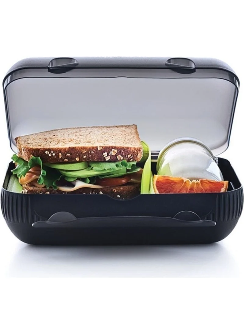 Tupperware Compartment Lunch Box